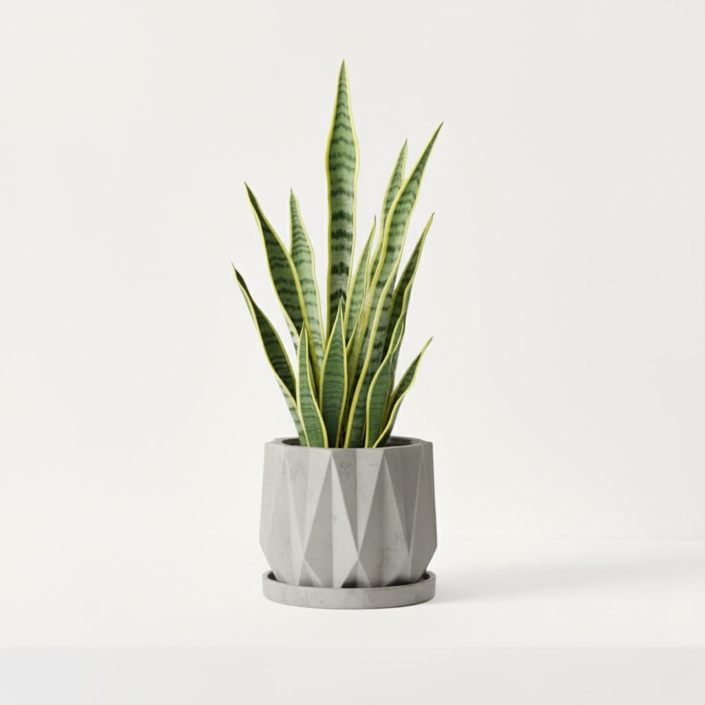 prism pot